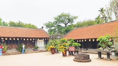 វត្តអារាមដ៏ស្រស់ស្អាត បុរាណ និងពិសិដ្ឋបំផុតចំនួន ៧ នៅខេត្តបាក់និញ។