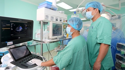 4 cuộc đời hồi sinh nhờ ghép tạng và ghép tủy