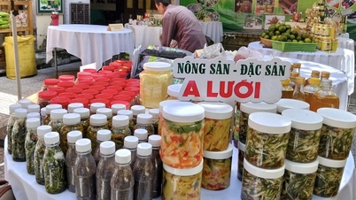 Bringing Hue's agricultural products to the digital platform, expanding markets and achieving sustainable poverty reduction.