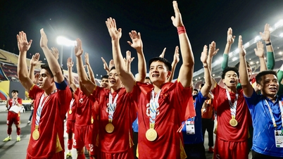ベトナムのサッカー代表チームは2025年に大成功を収めた。