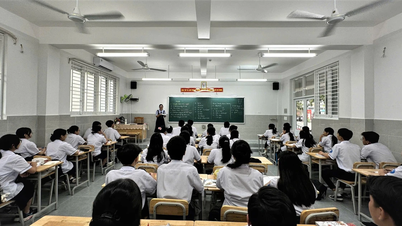Ho Chi Minh City has 20 more schools recognized as meeting national standards.
