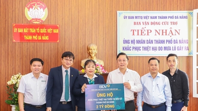 ធនាគារ BIDV ផ្តល់ជំនួយចំនួន ២ ពាន់លានដុងដល់ទីក្រុងដាណាំង ដើម្បីជួយជំនះផលវិបាកនៃគ្រោះមហន្តរាយធម្មជាតិ។