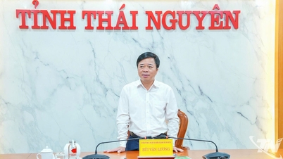 ការបង្កើតលក្ខខណ្ឌអំណោយផលបំផុតសម្រាប់សាធារណជនក្នុងការទស្សនាការប្រកួតនៅក្នុងការប្រកួតបាល់ទាត់បួនក្រុម។
