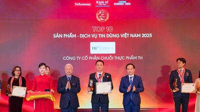ទឹកដោះគោស្រស់ TH true MILK៖ ផលិតផលល្អបំផុតទាំង ១០ នៅក្នុងប្រទេសវៀតណាម ឆ្នាំ ២០២៥