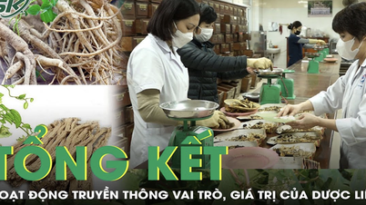 Kegiatan komunikasi mengenai peran dan nilai tanaman obat dari tahun 2021 hingga 2025.