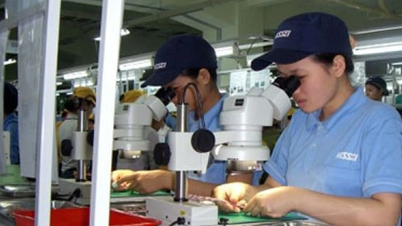Việt Nam sẽ kết thúc thời kỳ cơ cấu dân số vàng vào năm 2036