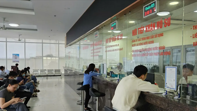 Ho Chi Minh City: Administrative procedures at departments and agencies will cease being accepted from December 27th.