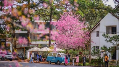 សកម្មភាពជាបន្តបន្ទាប់ ដើម្បីអបអរសាទរឆ្នាំថ្មី ២០២៦ និងសប្តាហ៍វប្បធម៌ និងទេសចរណ៍ម៉ាំងដិន។