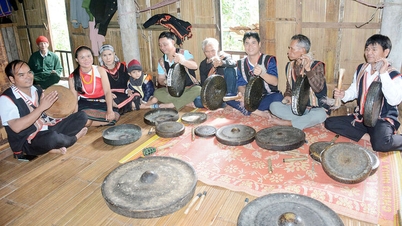 អភិរក្សវប្បធម៌គង Ca Dong