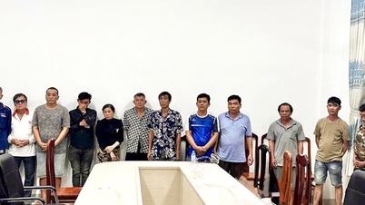 មនុស្ស ១៤ នាក់ត្រូវបានចាប់ខ្លួននៅ Phu Tan ពីបទជល់មាន់តាមអ៊ីនធឺណិតដើម្បីយកលុយ។