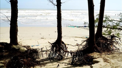 The risk of erosion 'swallowing' My Khe beach.