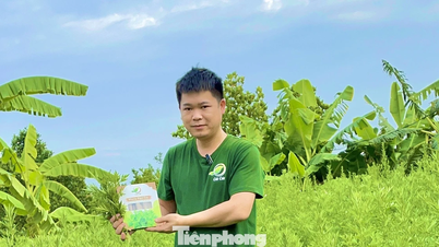 វេទិកាមួយដើម្បីគាំទ្រយុវជនក្នុងការចាប់ផ្តើមអាជីវកម្ម ការសម្រេចបាននូវទ្រព្យសម្បត្តិ និងការកាត់បន្ថយភាពក្រីក្រប្រកបដោយចីរភាព។