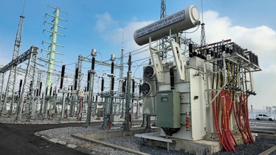 Successfully energized the 63MVA, 115/35/23 kV Van Ninh transmission line and substation.