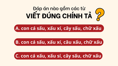 이 수수께끼는 여러분을 속이려고 하니, 각 단어를 자세히 살펴보세요.