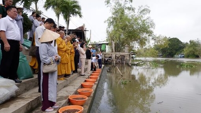 Tay Ninh: Απελευθέρωση ψαριών για την αναπλήρωση των υδάτινων πόρων.