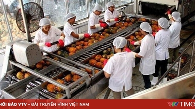 Gia tăng giá trị thặng dư cho nông sản xuất khẩu Việt Nam