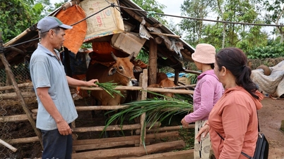 Đa dạng sinh kế, giúp dân giảm nghèo bền vững
