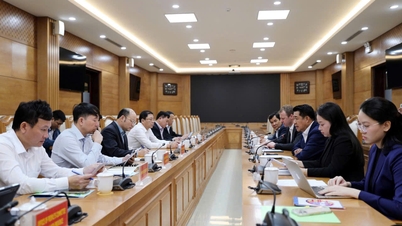 탄화성은 첨단 농업 분야에 투자할 투자자를 찾고 있습니다.