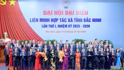 Hợp tác xã Bắc Ninh đẩy mạnh hiện đại hóa, số hóa, xanh hóa
