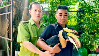 សត្វ​ខ្លែង​ដ៏​កម្រ​មួយ​ក្បាល​បាន​ហើរ​មក​ពី​មុខ​ម៉ូតូ​មួយ​គ្រឿង ហើយ​សូម្បី​តែ​អ្នក​ស្រុក​ព្យាយាម​ដេញ​វា​ក៏​វា​មិន​ហើរ​ចេញ​ដែរ។