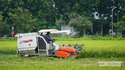 Provincie Thanh Hoa vydala rezoluci na podporu ochrany a rozvoje půdy pro pěstování rýže.
