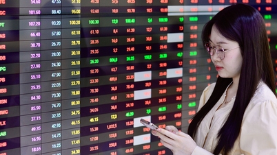 Walaupun harga lebih 400 saham jatuh, Indeks VN masih mencapai puncak baharu sebanyak 1,772 mata.
