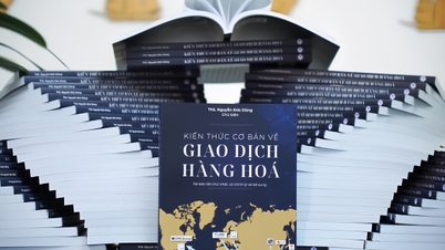 «Grunnleggende kunnskap om råvarehandel»: En håndbok for det vietnamesiske investeringsmiljøet