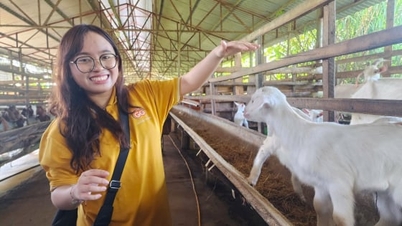 Agroturistika v Tan Hoa potřebuje podporu.