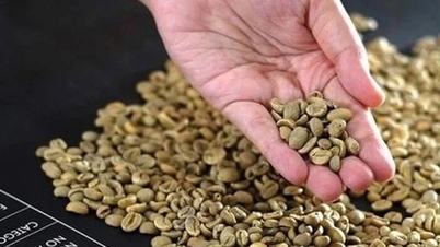 With 91% of its exports in raw form, Vietnamese coffee is missing out on a $48 billion "gold mine".
