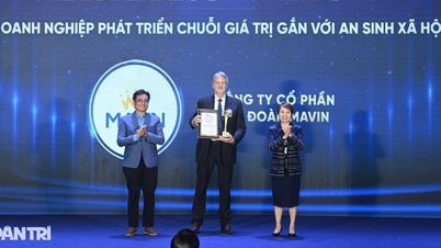 Mavin Group was honored at the Vietnam ESG Awards 2025.