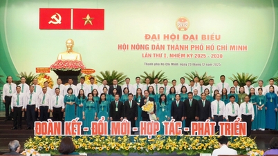 ពិធីបើកសមាជលើកទី១ នៃសមាគមកសិករទីក្រុងហូជីមិញ