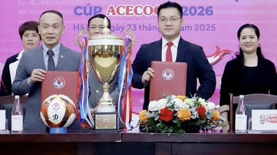 Retrouvez plus d'images de Thanh Nha et Van Su du Championnat national féminin des moins de 19 ans.