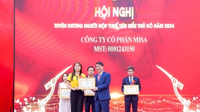 MISA ត្រូវបានទទួលស្គាល់ថាជាអ្នកជាប់ពន្ធគំរូនៅទីក្រុងហាណូយក្នុងឆ្នាំ 2024។