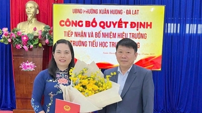 រឿងអាស្រូវចំណីអាហារនៅ Lam Dong៖ សាលាតែងតាំងនាយកសាលាស្រីថ្មី។