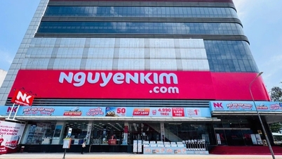 Den thailandske magnaten selger elektronikkkjeden Nguyen Kim til Pico.