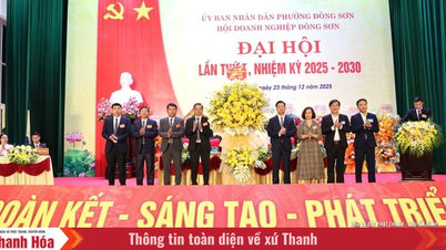 ដើម្បីជួយសហគមន៍អាជីវកម្មនៅក្នុងសង្កាត់ដុងសឺនឲ្យកាន់តែរឹងមាំ និងស្របតាមគុណសម្បត្តិរបស់ខ្លួន។