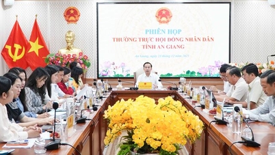 លោក ង្វៀន ថាញ់ ញ៉ាន ប្រធានក្រុមប្រឹក្សាប្រជាជនខេត្តអានយ៉ាង បានអញ្ជើញជាអធិបតីក្នុងកិច្ចប្រជុំ ដើម្បីពិភាក្សាលើបញ្ហាសំខាន់ៗមួយចំនួន។