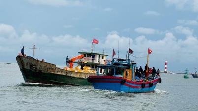 Quang Ngai realiza una inspección sorpresa de los esfuerzos de prevención y control de la pesca INDNR.