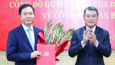 Trợ lý Thủ tướng làm Phó trưởng Ban Tổ chức Trung ương