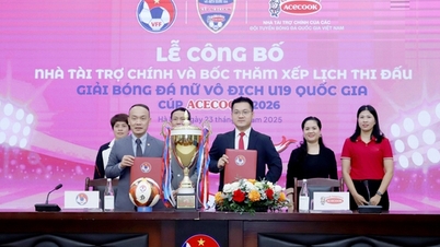 Die nationale U19-Frauenfußballmeisterschaft - ACECOOK Cup 2026 findet vom 7. Januar bis 7. Februar 2026 statt.