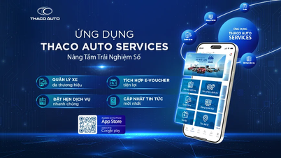 សេវាកម្ម THACO AUTO - កម្មវិធីឌីជីថលសម្រាប់ការថែទាំយានយន្តពហុម៉ាក ដែលបង្កើនបទពិសោធន៍របស់អតិថិជន។