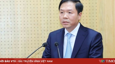 Pan Trinh Manh Linh został mianowany zastępcą kierownika Departamentu Organizacji Centralnej.