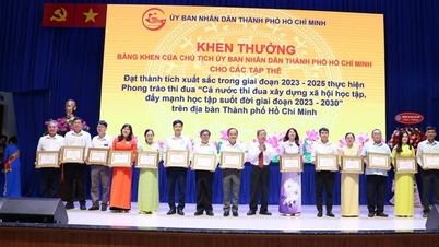 ទីក្រុងហូជីមិញនាំមុខគេក្នុងប្រទេសទាក់ទងនឹងការអនុវត្តការអប់រំឌីជីថល។