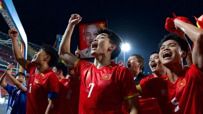 FIFA បានប្រើពាក្យបួនម៉ាត់ដើម្បីពិពណ៌នាអំពីជ័យជម្នះជើងឯករបស់ក្រុម U22 វៀតណាម ដោយសរសើរលោក Dinh Bac។