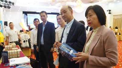 Trasformare Da Nang in un polo di innovazione e imprenditorialità di livello internazionale.