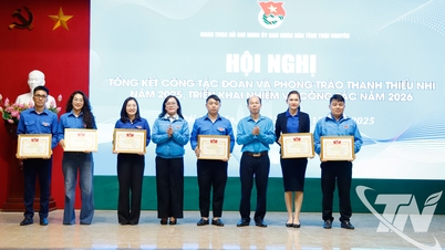 លើកកម្ពស់តួនាទីជាអ្នកត្រួសត្រាយផ្លូវរបស់យុវជនក្នុងយុគសម័យថ្មី។