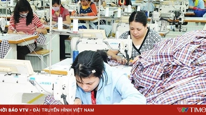 ອຸດສາຫະກຳແຜ່ນແພ ແລະ ເຄື່ອງຕັດຫຍິບຫວຽດນາມ ເອົາຊະນະສິ່ງທ້າທາຍຕ່າງໆ, ຍອດມູນຄ່າສົ່ງອອກເພີ່ມຂຶ້ນ 5%.