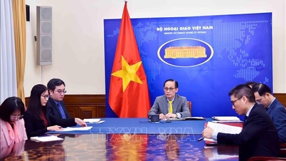 Maksimere potensialet for økonomisk, handels- og investeringssamarbeid mellom Vietnam og Frankrike.