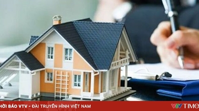 재무부는 잉여 주택 및 토지 처리 현황에 대한 주간 보고서를 요구합니다.