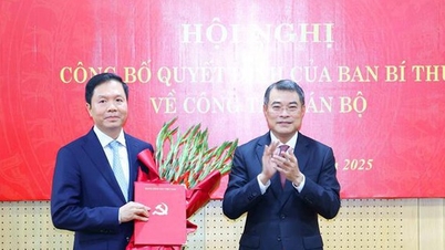 Ban Bí thư điều động, bổ nhiệm tân Phó Trưởng Ban Tổ chức Trung ương
